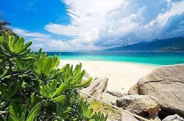 夏季热带海滩逃生