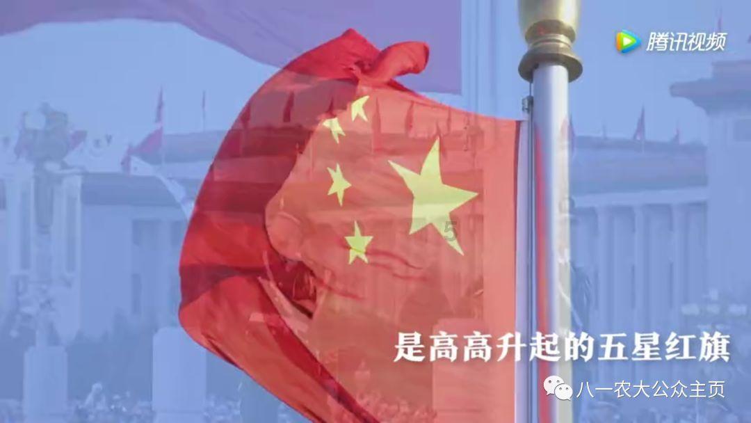植物大战僵尸8